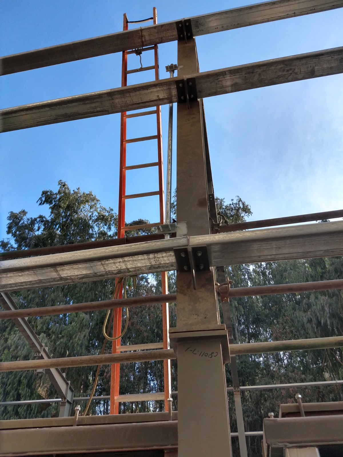 WhatsApp Image 2023-08-24 at 09.00.39.jpeg